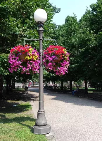 Two hanging baskets filled with colorful flowers hang from a lamppost along a park trail