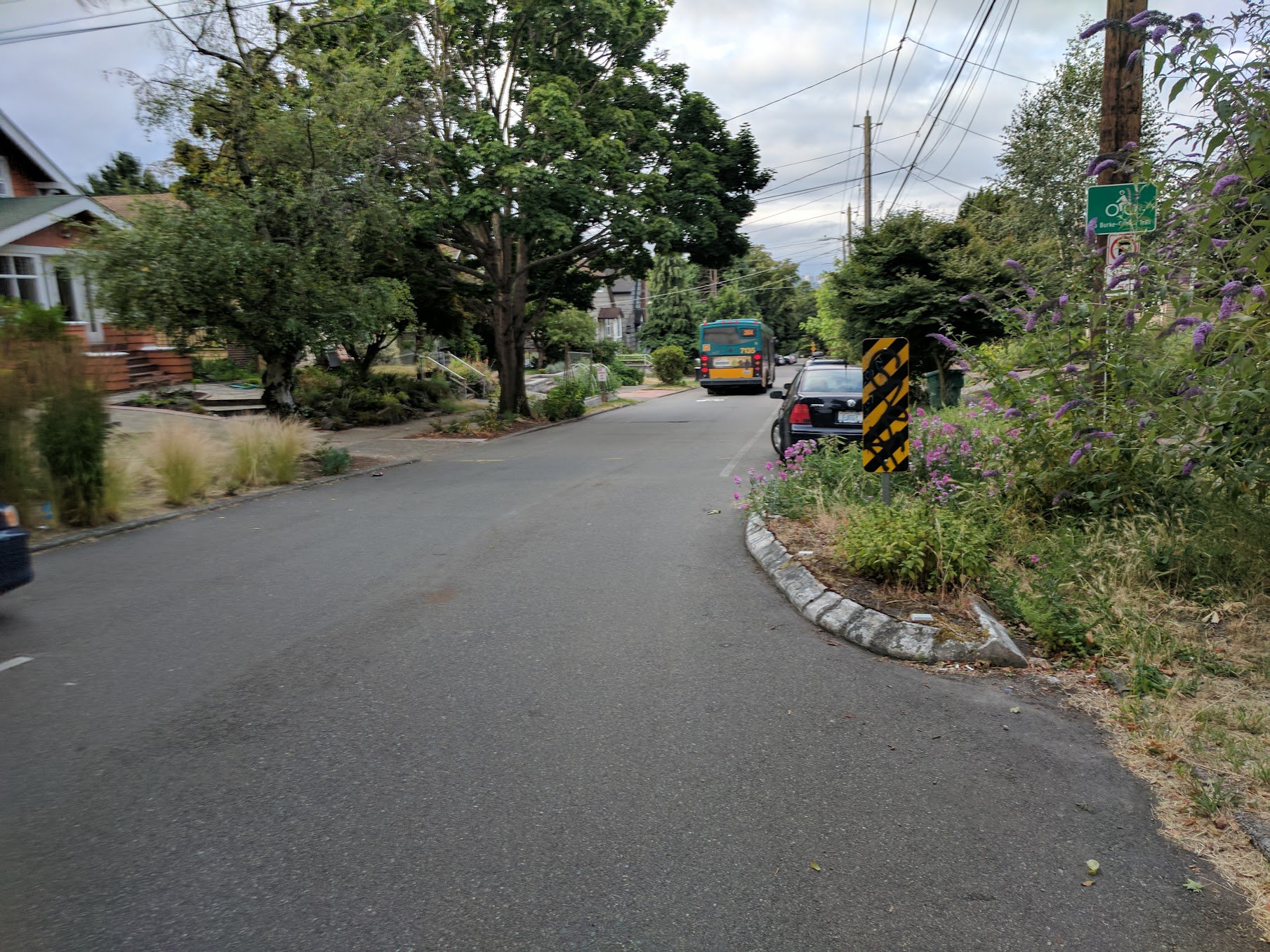 Street with a chicane on it