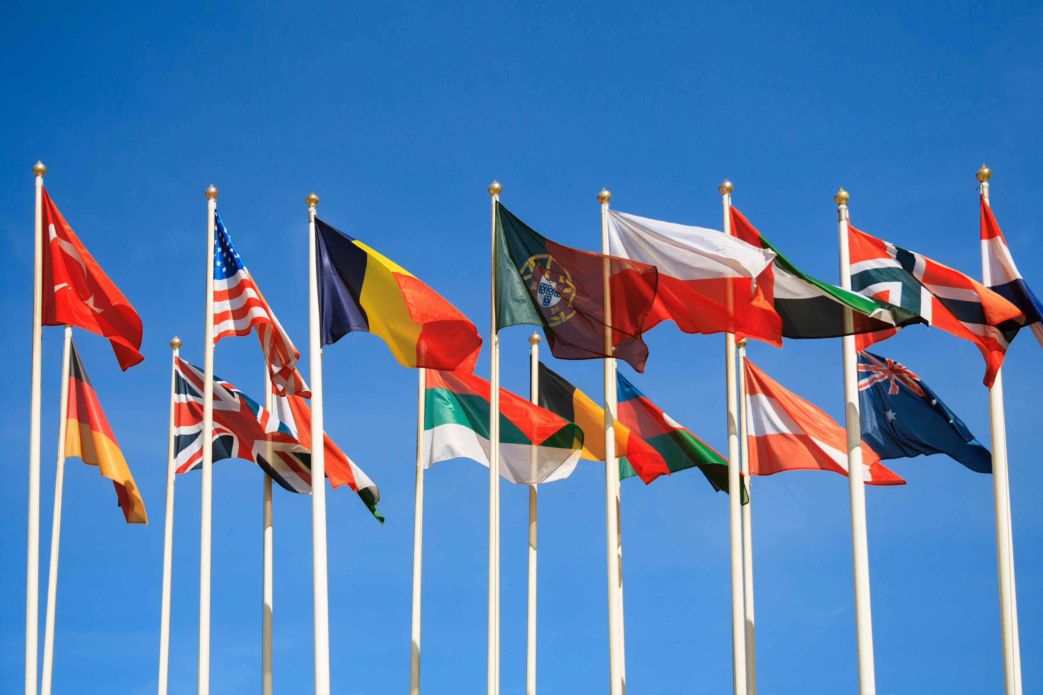 Flags from different counties waving in the wind