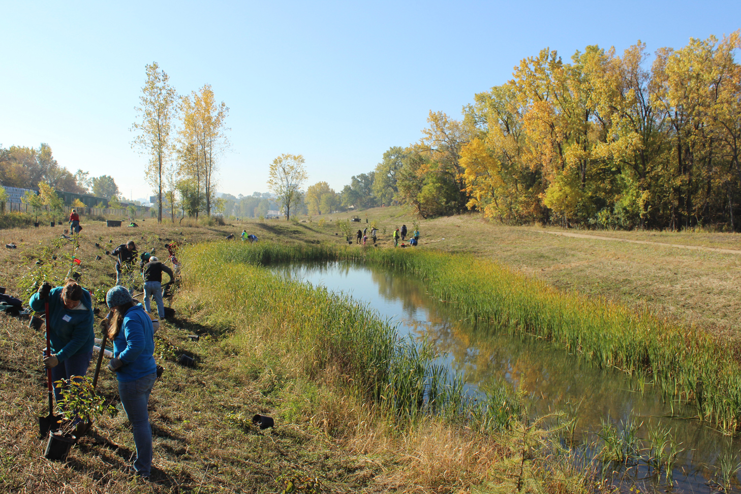 Trout Brook Nature Sanctuary Project | Saint Paul, Minnesota