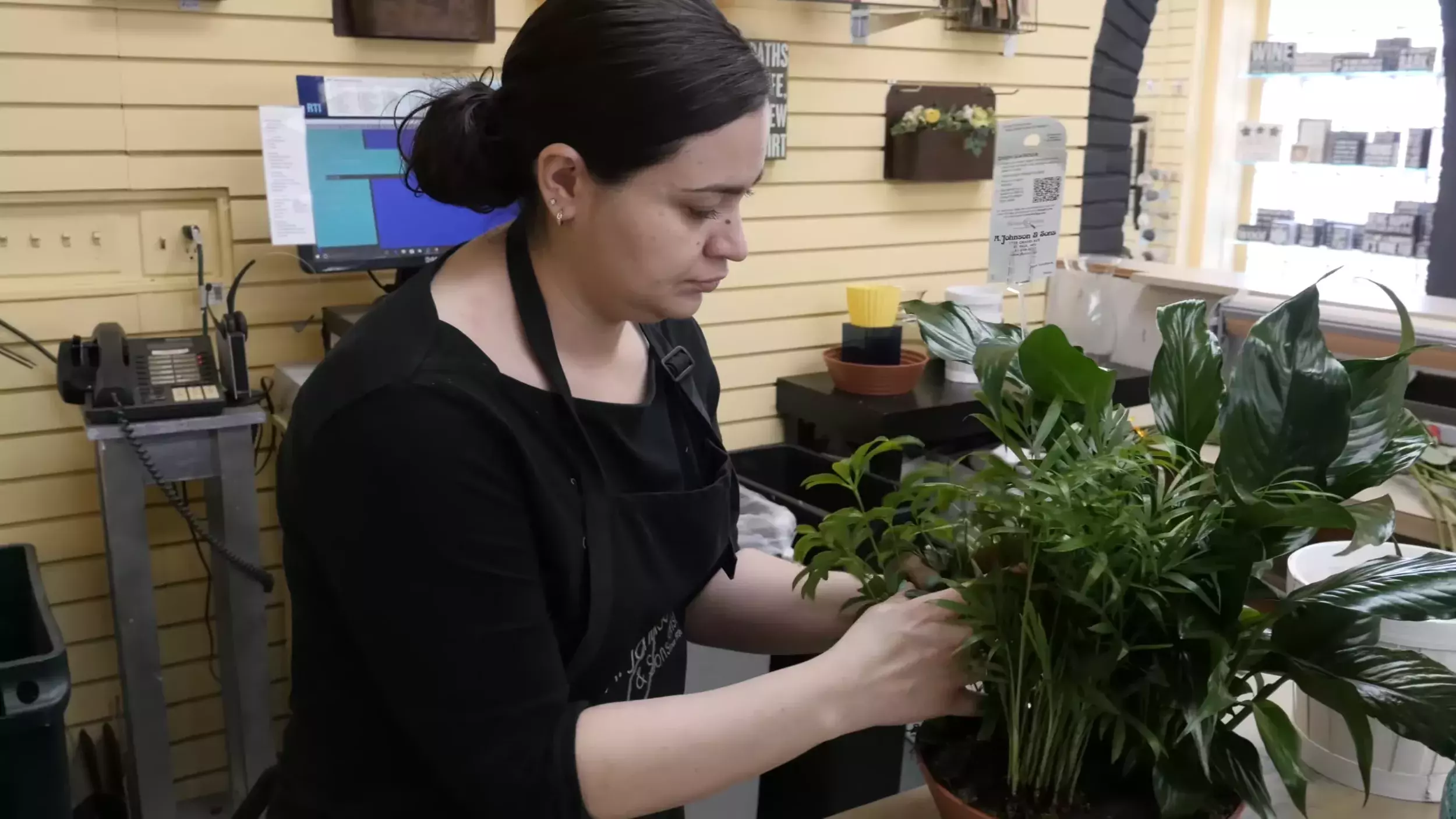 A worker in a flower shop arranges green foliage plants together.