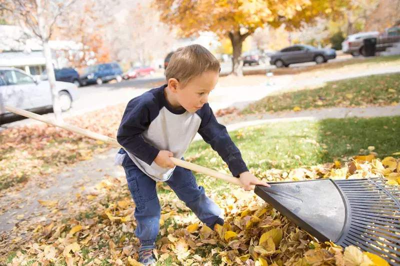 Child Raking Leaves