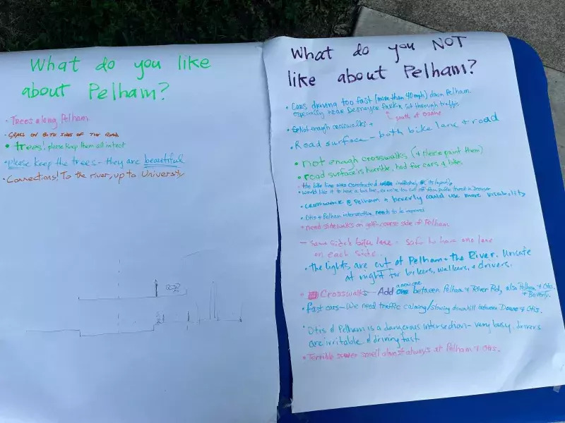 Photo showing posters from the July 16 2024 Desnoyer Park Picnic. The posters show responses from picnic attendees to the questions "What do you like and not like about Pelham?". Many responses are related to the tree canopy, the bikeway, and the speed of drivers. 