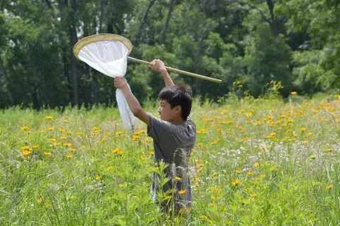 Boy grasps by handle and net and holds it over his head to look at what is inside.