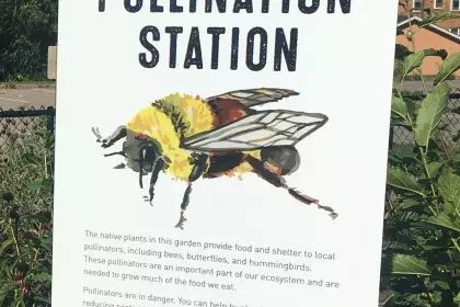 White  sign reads "pollination station" with image of bumblebee