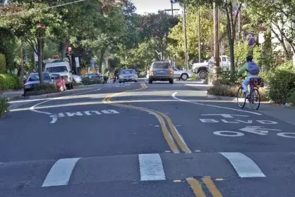 A bike rides down a bike boulevard