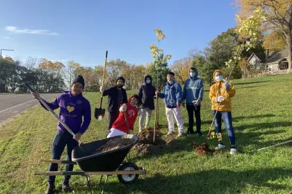 Group planting trees