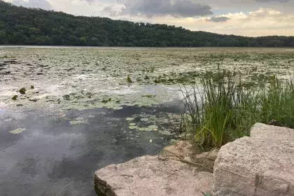 Pickerel Lake