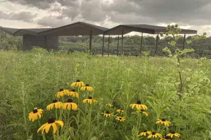 Lilydale Regional Park Picnic Shelter