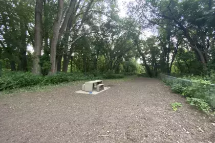 Lilydale Regional Park - Large Off-Leash Dog Area & Picnic Table